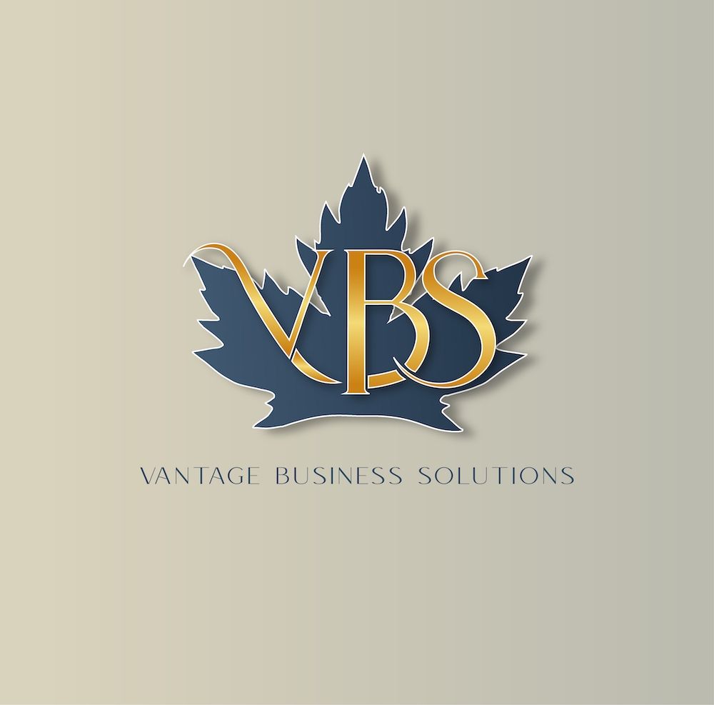 VBS Solutions Logo-08 (1) copy